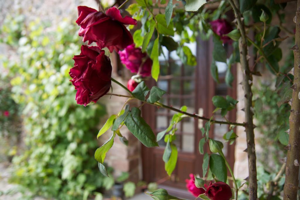 Relais Saint Aubin Bed and Breakfast Erquy Εξωτερικό φωτογραφία