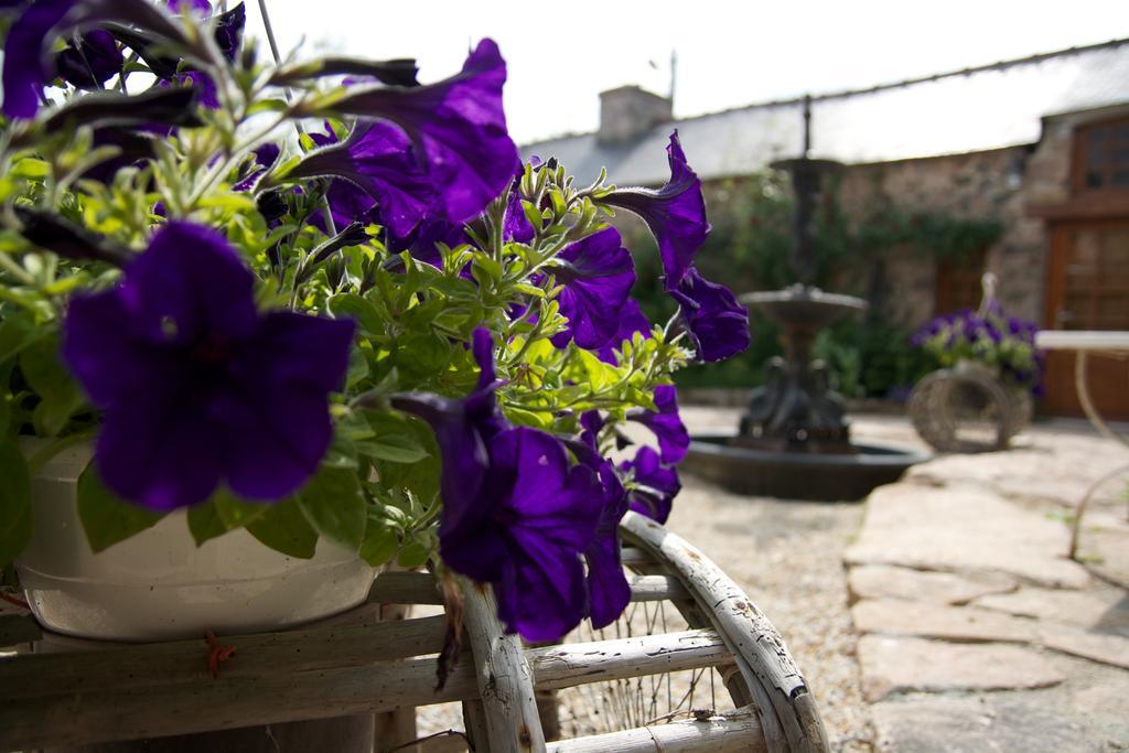 Relais Saint Aubin Bed and Breakfast Erquy Εξωτερικό φωτογραφία